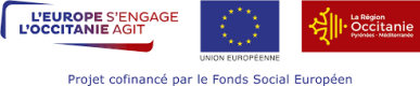 Logo du Fonds social européen de France