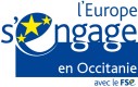 Logo du Fonds social européen de France