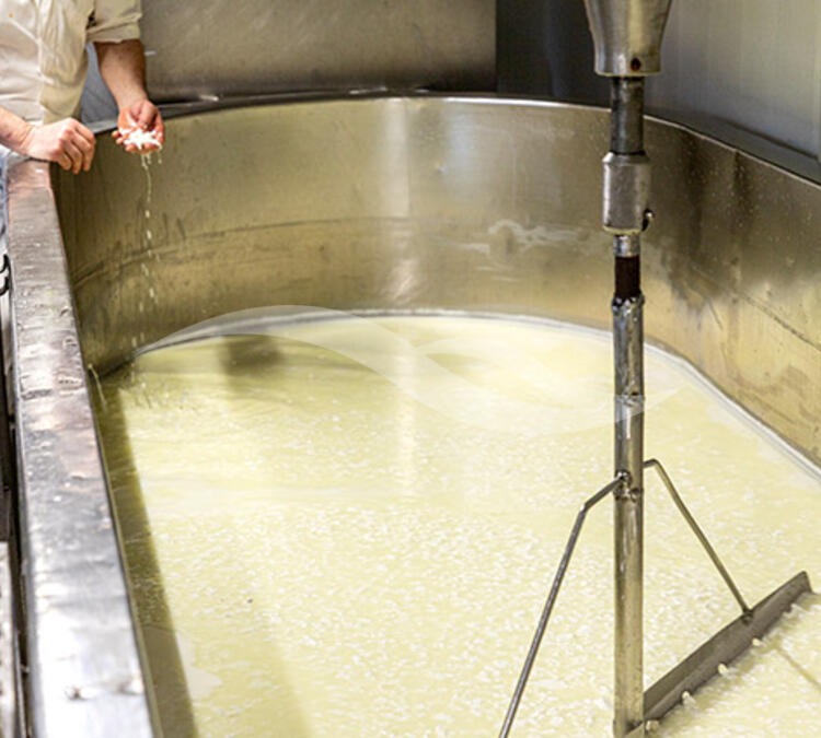 M0361 | Laiterie – Fromagerie de montagne