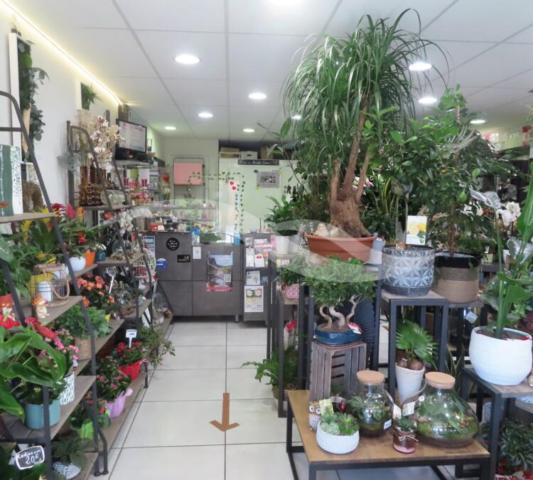 S0138 | Fonds artisanal - Fleuriste
