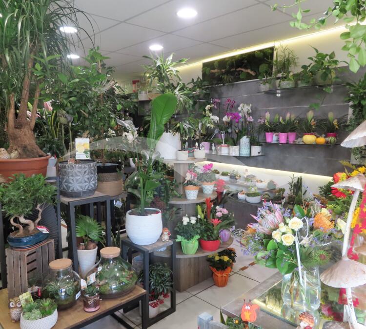 S0138 | Fonds artisanal - Fleuriste