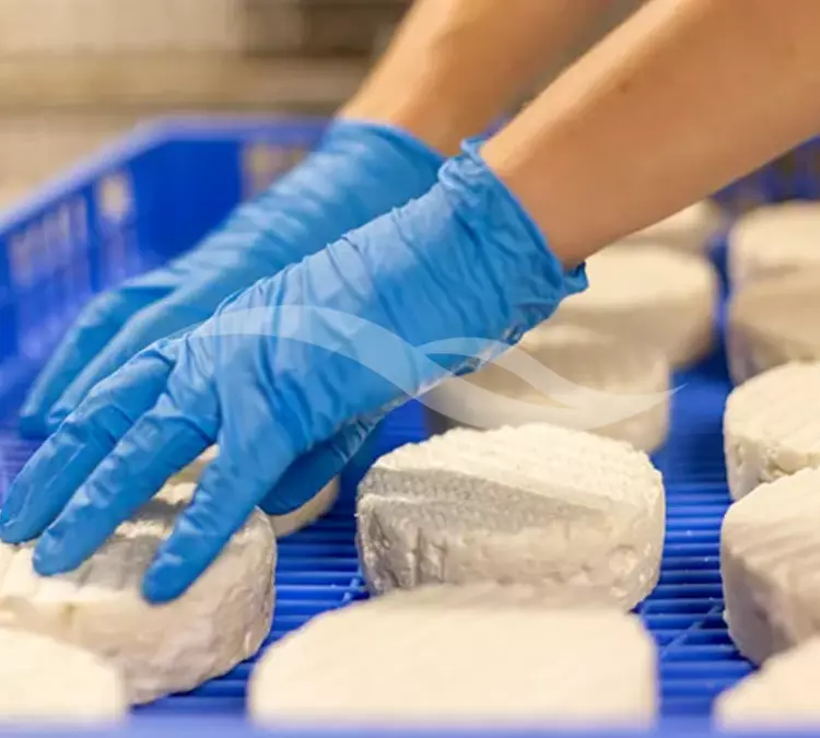 M0361 | Laiterie – Fromagerie de montagne