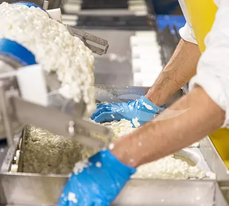 M0361 | Laiterie – Fromagerie de montagne