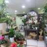 S0138 | Fonds artisanal - Fleuriste