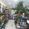 S0138 | Fonds artisanal - Fleuriste