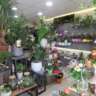 S0138 | Fonds artisanal - Fleuriste