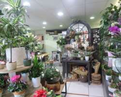 Fonds artisanal - Fleuriste Fonds artisanal - Fleuriste